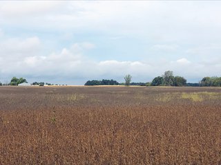 Property photo 8 - FARMLAND AUCTION - 76.15+/- ACRES IN 2 TRACTS IN RANDOLPH COUNTY, INDIANA